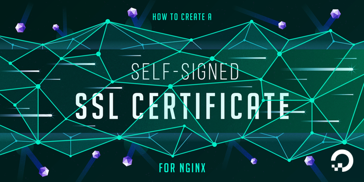 How To Create a Self-Signed SSL Certificate for Nginx in Ubuntu 20.04