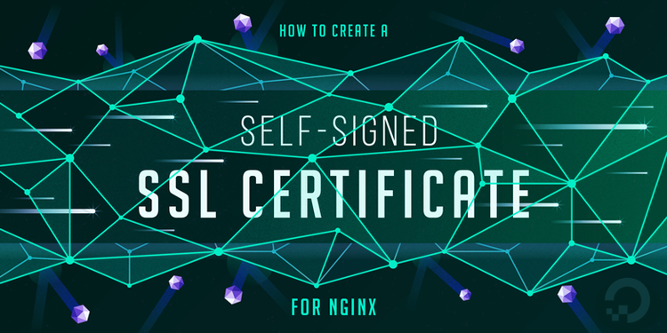 How To Create a Self-Signed SSL Certificate for Nginx in Ubuntu 16.04